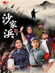 北京京剧院 现代京剧《沙家浜》