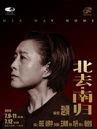 赵倩主演独角戏《北去·南归》-2026国家大剧院国际戏剧季